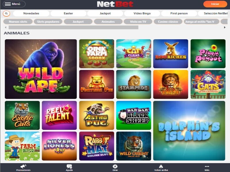 El casino en vivo de Netbet procura evolucionar